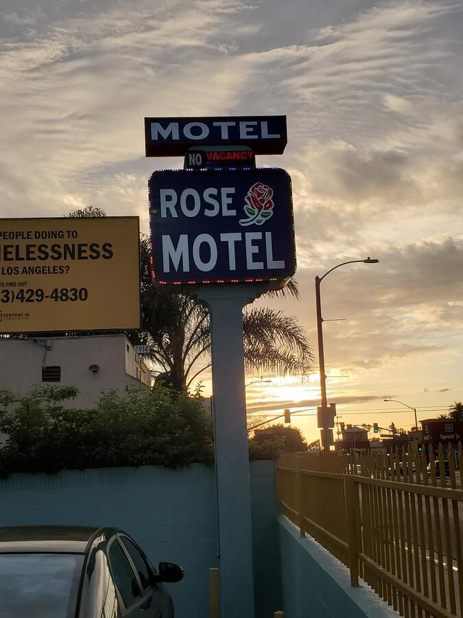 Rose 2* Compton